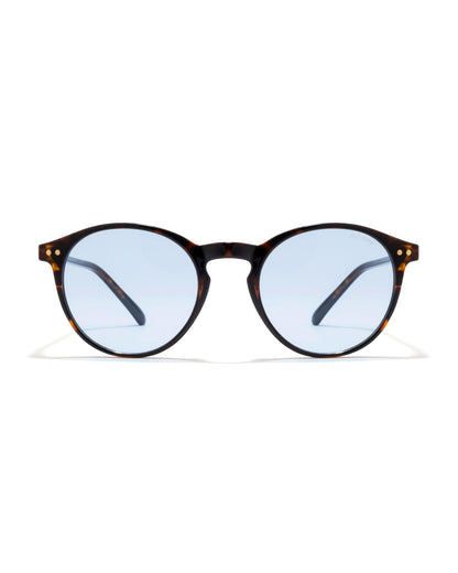 The Retro Round - AECO EXCLUSIVE TINTS